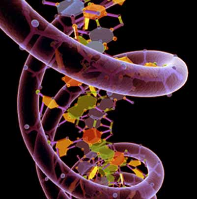 Hélice de DNA