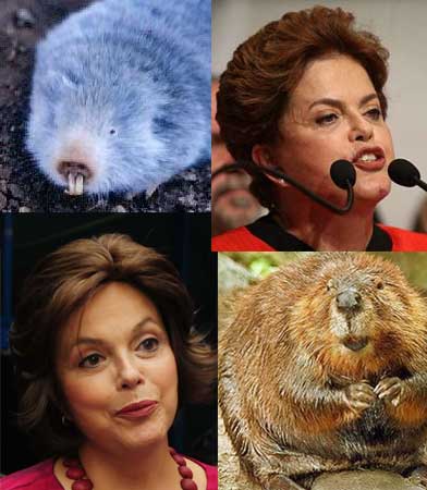 Dilma Rousseff e animais virginianos