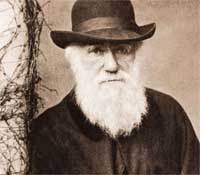 Darwin